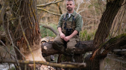 Person wearing chest waders sits on a fallen tree in a wetland area beside trees showing evidence of beaver activity.